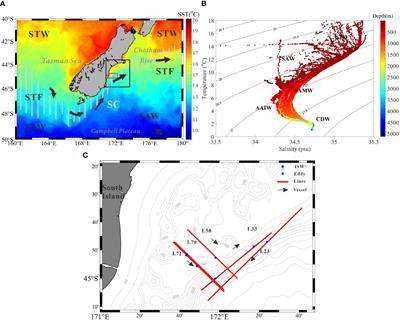 Seismic oceanography of internal solitary waves offshore the South Island, New Zealand